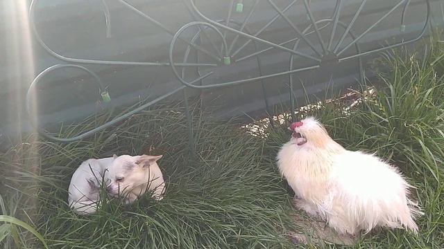 26 августа 2020 г. смотреть онлайн