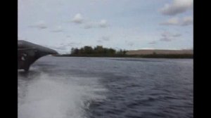 Леталка. Лето 2011.