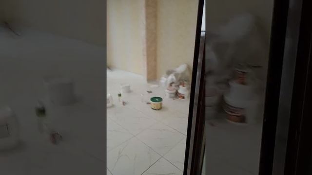 Декоративные штукатурки карта мира процесс работы. Принимаем заказы любой сложности 0500 28-28-77 смотреть онлайн