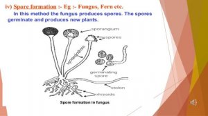 Std VII Science Ch 12 Reproduction in Plants