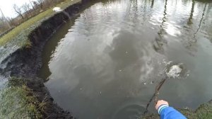 РЫБАЛКА на СЕТЬ в СОБСТВЕННОМ ПРУДУ !!! КОНКУРС!!!