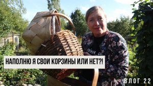 Смогу ли я наполнить корзины урожаем? Или всё как всегда?