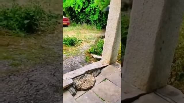 Продолжать бороться смотреть онлайн