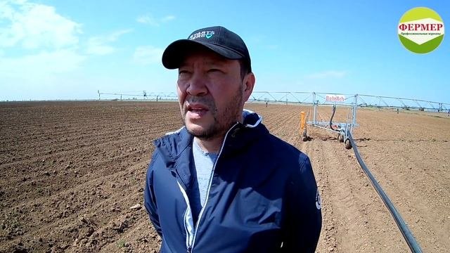 Хлопок в РФ 2018. Первые всходы и полив