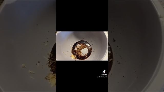 Аурикулярия китайский гриб муэр готовим маринованные грибы