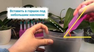 Японское удобрение Yorkey