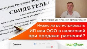 Нужно ли регистрировать ИП или ООО при продаже растений?