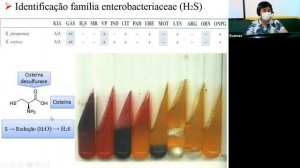 Aula 13: Diagnóstico Família Enterobacteriaceae (Bioquímica) BM4MA