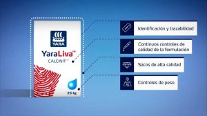 YaraTera Calcinit; mucho más que un Nitrato de Calcio ¡Confianza en todas las etapas de su negocio.