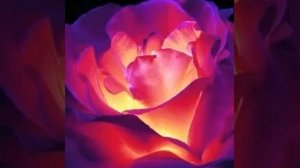 Дети красиво поют,песню про маму(МАМА Я ЦЕЛУЮ ТВОИ РУКИ)