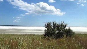 Приморск (Запорожская область) пляж 2014, Большой лиман в 2014 и 2015 годах, Обиточная коса