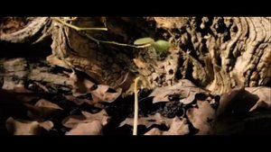 Медиавизитка наставник