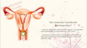 Китайские тампоны Beautiful life