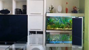 Yamaha Np s2000 et kef r700