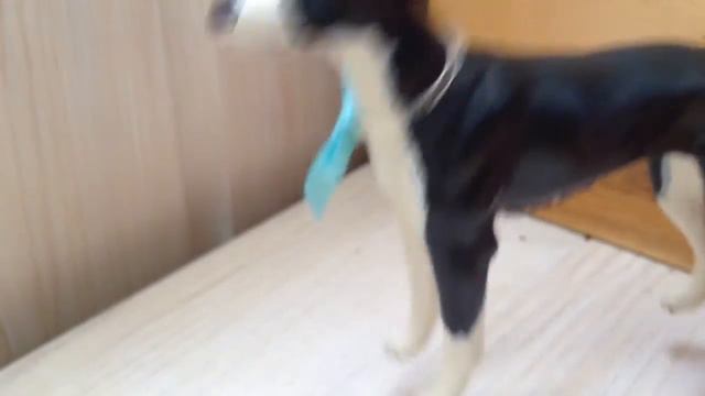 Год каналу! Спасибо!!!😄 смотреть онлайн