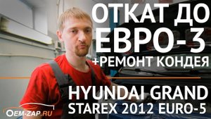 Удаление сажевого фильтра и катализатора Hyundai Grand Starex D4CB