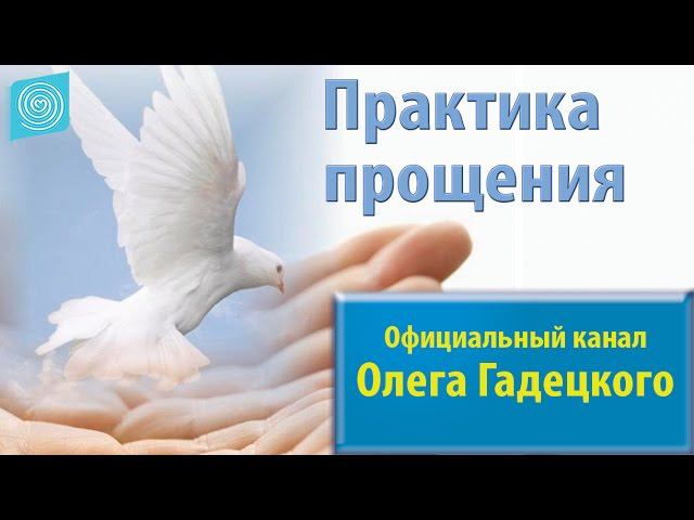 Практика прощения. Олег Гадецкий смотреть онлайн