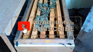 ??Как хранить рамки и уберечь от моли. Рамки Дадан без проволки