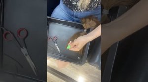 Быстрая капсуляция без карды.