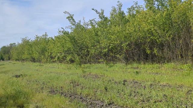 Почему нельзя хранить деньги в рублях? смотреть онлайн