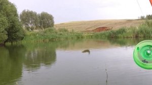 С такими карасями и карпа не надо. Вечерняя рыбалка на боковой кивок.