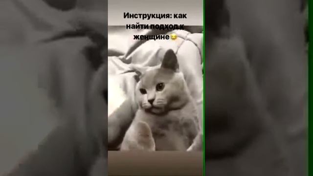 Как найти подход к женщине?????