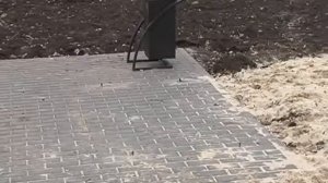 Сквер на Северо-Западе Курска планируют реставрировать