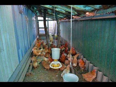 Помещение для содержания птицы. Хозяйство Валентина Сохорева