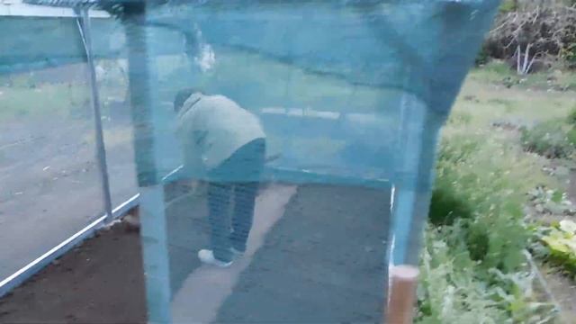 Теплица - шатёр своими руками из профиля СD 60. Лёгкая и жёсткая конструкция. смотреть онлайн