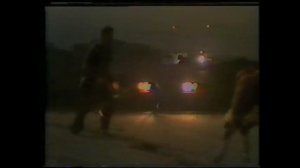 Cliff Young 1983 Young At Heart