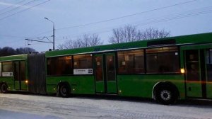 «Ни туда, ни сюда». В Гомеле автобус застрял на дороге — последствия снегопада