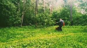 АТАКА БЕЛЬГИЙСКАЯ ОВЧАРКА(АЛЕКСТЭР ХОФ АСАД АЛВАРО)