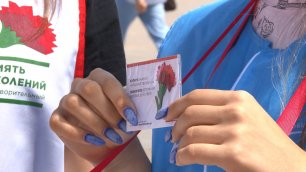 Анапа поддержала всероссийскую акцию «Красная гвоздика»
