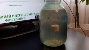 Как расстворяется в воде ТехноПланктон