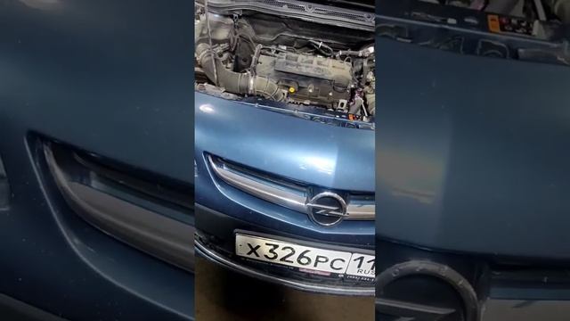 opel astra j, стук фазовращателей после запуска.