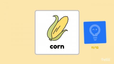 Vegetables: Beginner English Vocabulary