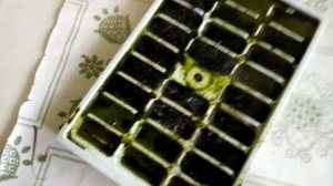 Сок из листьев  и стеблей лопуха!!!   Натуральное средство от многих болезней.  30 мая 2020 г.