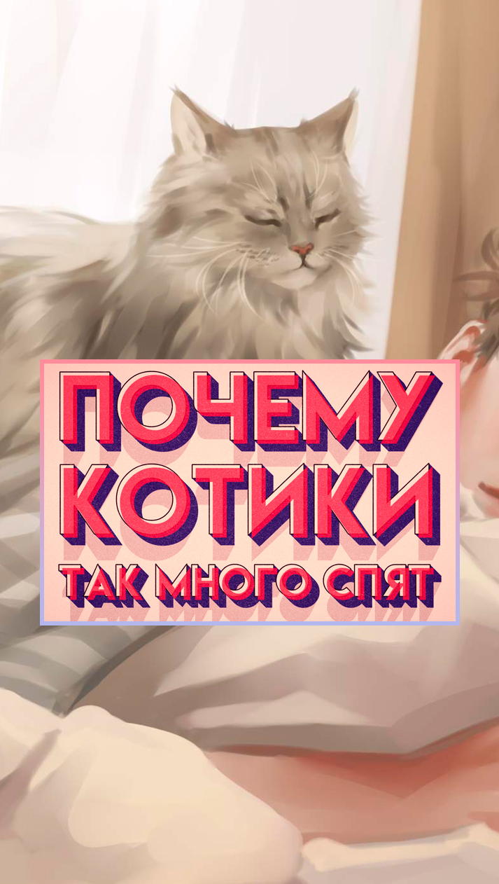 Почему кошки так много спят?🤔 #shorts #коты #сон #факты