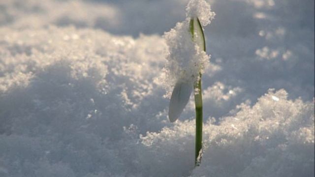 Пришла весна!!! смотреть онлайн
