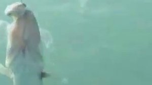 Казахстан Рыбалка на озере Балхаш