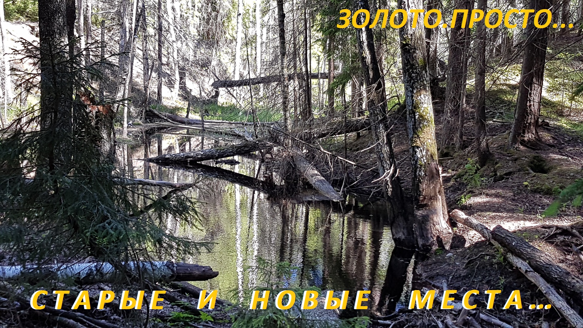 Старые и Новые места! смотреть онлайн