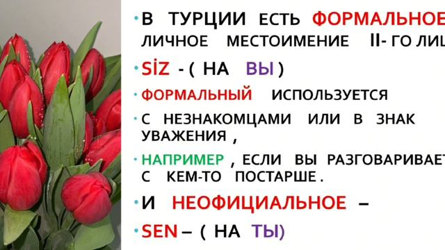 Турецкий  язык  с  нуля  . Грамматика   , Примеры .