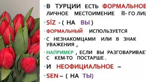 Турецкий язык с нуля . Грамматика , Примеры .