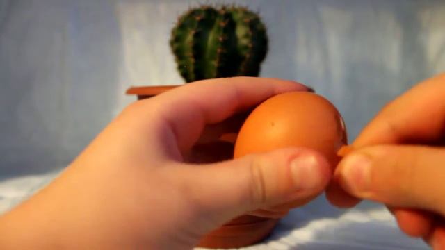 Эксперимент с яйцом. смотреть онлайн
