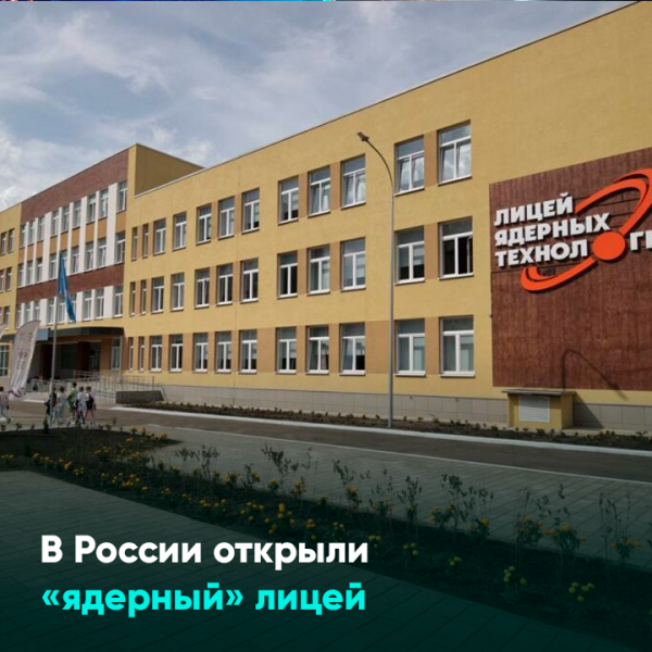 Огаоу лицей ядерных технологий. Лицей ядерных технологий Димитровград. Псков Псковская гимназия ПИЛГ. Инженерная лингвистическая гимназия Псков. Псков гимназия 27.
