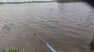 Varuna 110 SP в действии. Ловля щуки на воблеры. Varuna 110 SP in action. Pike fishing on wobblers.