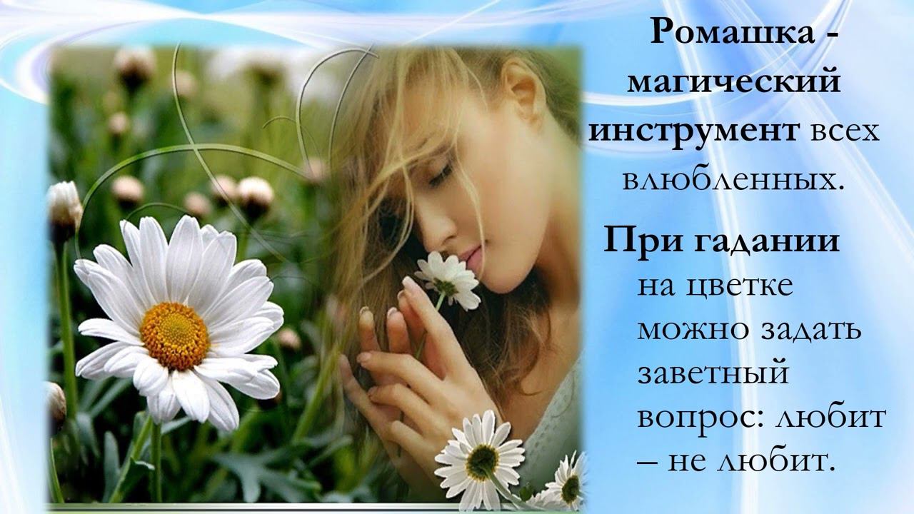 Эко-букет "Цветы шагают по планете"