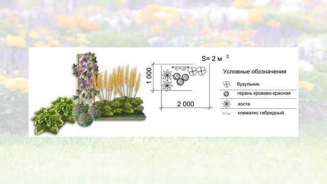 Цветник или клумба своими руками | готовые схемы | названия растений