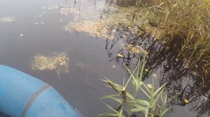 Летняя жерлица на щуку. Установка летней жерлицы, видео rybachil.ru