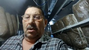 Как хранить свежие грибы